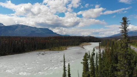 Aerial View of Banff National Park, Flying Over the Bow River in Alberta, Canada Stock Footage
