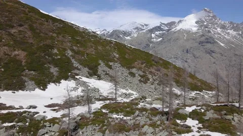 Aerial view of bare trees in winter on high rocky mountains covered with snow Stock Footage 154972959