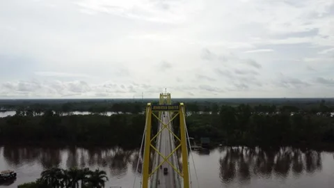 Aerial view of the Barito Bridge on the border of South Kalimantan and Cent.. Video stock 301653715