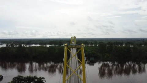 Aerial view of the Barito Bridge on the border of South Kalimantan and Cent.. Stock Footage 301653719