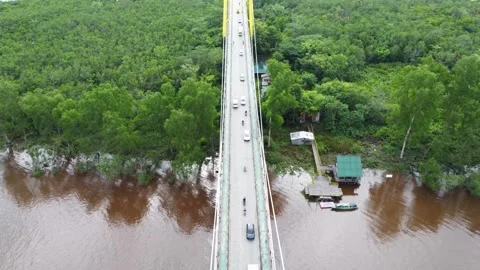 Aerial view of the Barito Bridge on the border of South Kalimantan and Cent.. Stock Footage 301653724