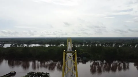 Aerial view of the Barito Bridge on the border of South Kalimantan and Cent.. Stock Footage 301653727