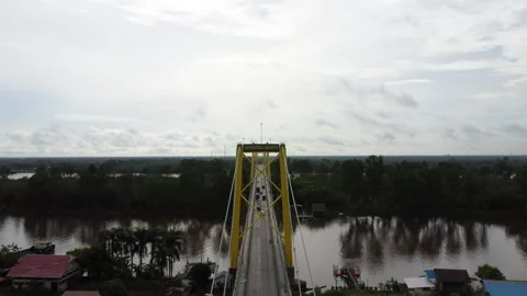 Aerial view of the Barito Bridge on the border of South Kalimantan and Cent.. Stock Footage 301653729