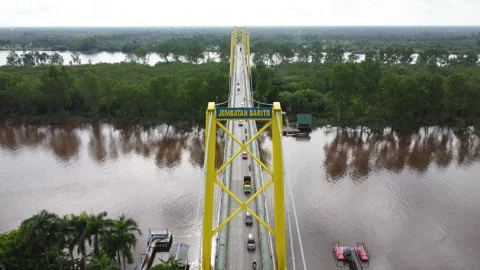 Aerial view of the Barito Bridge on the border of South Kalimantan and Cent.. Stock Footage 301653906