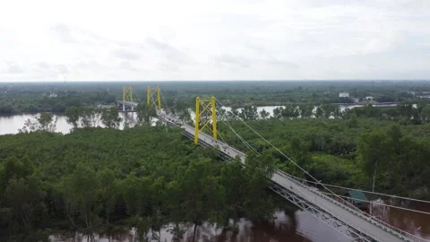 Aerial view of the Barito Bridge on the border of South Kalimantan and Cent.. Stock Footage 301654051