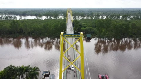 Aerial view of the Barito Bridge on the border of South Kalimantan and Cent.. Stock Footage 301654053