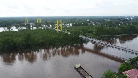 Aerial view of the Barito Bridge on the border of South Kalimantan and Cent.. Stock Footage 301654351