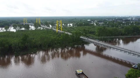 Aerial view of the Barito Bridge on the border of South Kalimantan and Cent.. Stock Footage 301654353