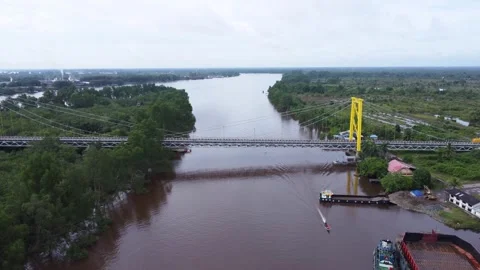 Aerial view of the Barito Bridge on the border of South Kalimantan and Cent.. Stock Footage 301654917