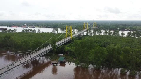 Aerial view of the Barito Bridge on the border of South Kalimantan and Cent.. Stock Footage 301656915