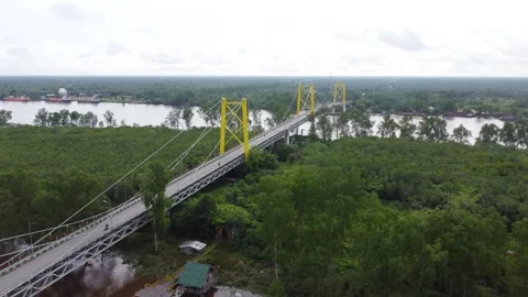 Aerial view of the Barito Bridge on the border of South Kalimantan and Cent.. Stock Footage 301658020