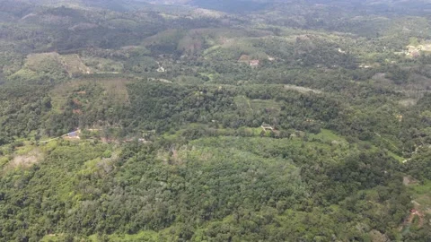 Aerial view of Battle site in Bukit Perangin Stock Footage 149110108