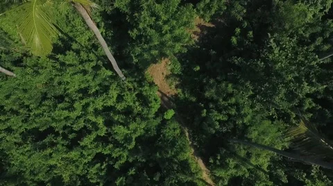 Aerial view of the bay Stock Footage 63226219