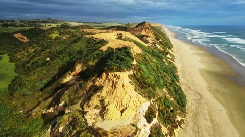 Aerial view of beach and dunes, New Zealand. Stock Footage 314652041