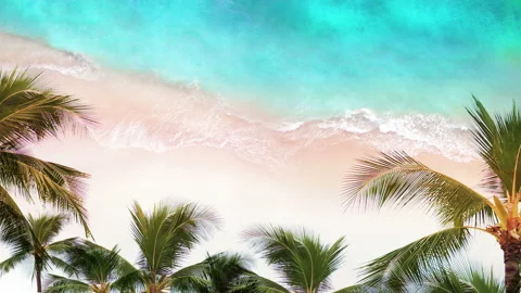 Aerial View Of Beach and Palms, Drone footage Vidéo 89307150