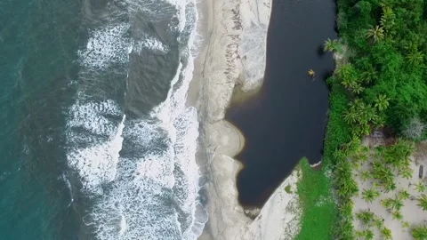 Aerial view of beach between river and sea in tropical jungle Stock Footage 231817657