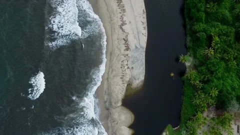 Aerial view of beach between river and sea in tropical jungle Stock Footage 231817673