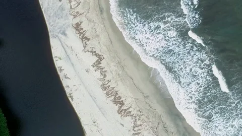 Aerial view of beach between river and sea in tropical jungle Stock Footage 231817703