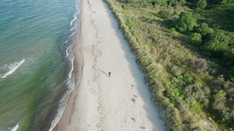 Aerial View of a Beach in Denmark Stock Footage 244856925