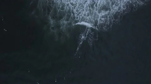 Aerial view with beach drone in the Basque Country at dawn Stock Footage 220000875