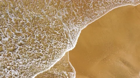 Aerial view of the beach Vidéo 146436977