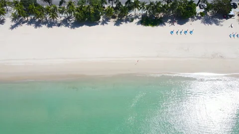 Aerial view of beach  Stock Footage 233786611