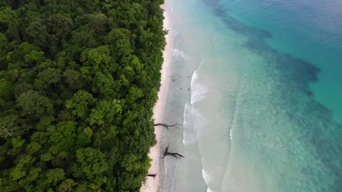Aerial view of Beach Stock-Footage 242189822