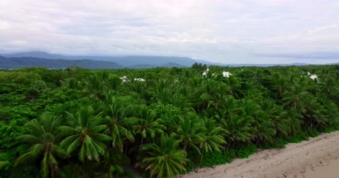 Aerial view of beach front resort Port Douglas, Australia Stock Footage 203853300