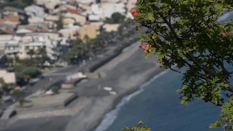 Aerial view of a beach with a fruit tree Stock Footage 97821107