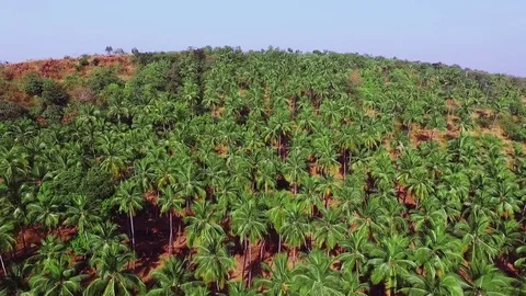 Aerial view of beach in Goa, Cabo de rama. India. Stock Footage 73071745