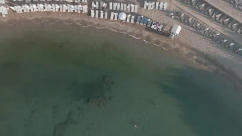 Aerial View of Beach Loungers Lining the Shore Stock Footage 282930357