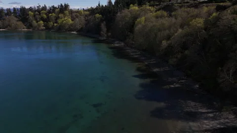 Aerial view of beach at mount Doug park Stock Footage 270576943