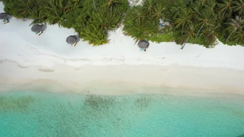 Aerial view of beach with palm trees and clear water in Maldives. Stock Footage 158602589