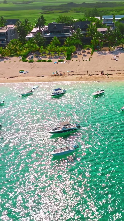 Aerial view of beach with palm trees and perfect turquoise sea water. Relaxing Stock Footage 343331041