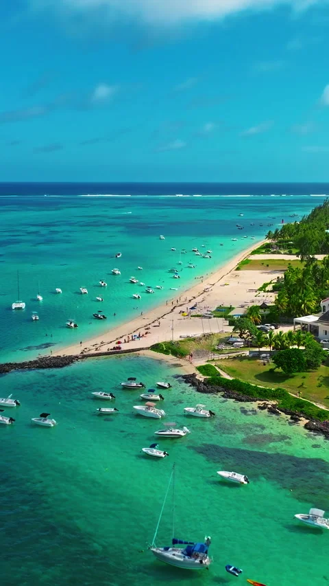 Aerial view of beach with palm trees and perfect turquoise sea water. Relaxing 库存影片 343469169