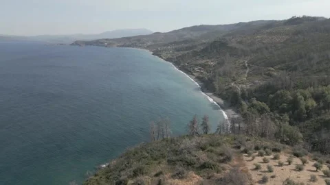 Aerial View of Beach with partly burned trees and Sea Stock Footage 249448903