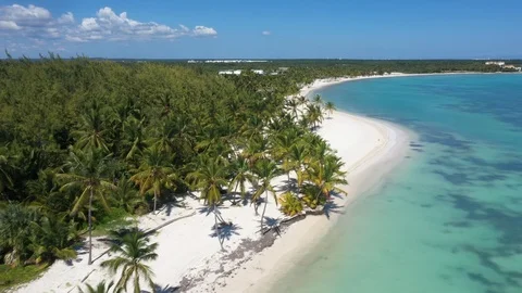 Aerial view of beach at punta Cana Stock Footage 124475883
