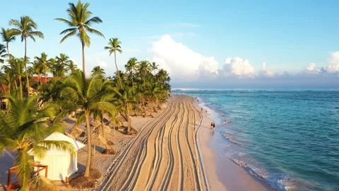 Aerial View of the Beach in Punta Cana Dominican Republic With People Stock Footage 325922138