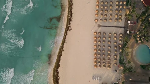 Aerial view of beach resort along sargassum lined coast Stock Footage 345682155