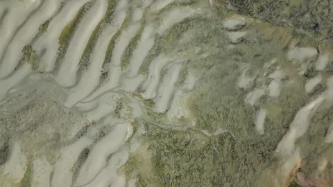 Aerial view of beach sand, New Zealand. Stock Footage 314652362