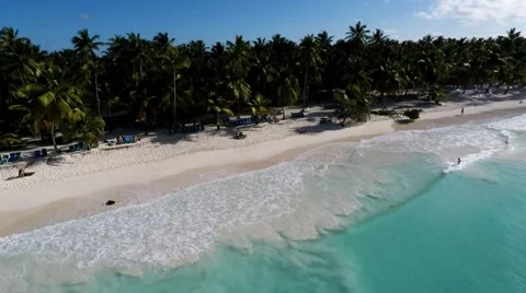 Aerial View from the beach at Saona Island / Dominican Republic Stock Footage 59555509