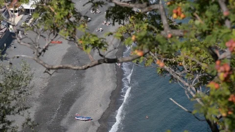 Aerial view of the beach through the foliage of the trees Stock Footage 97822211