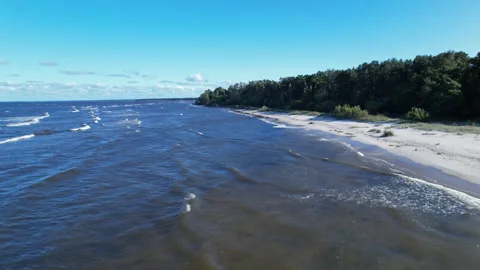An aerial view of a beach with trees in the background Stock Footage 255469829