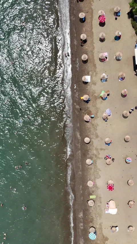 Aerial view  beach view with lounge chairs and beach umbrellas Stock Footage 336316648