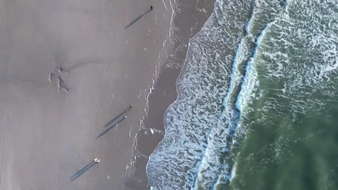 Aerial View of Beach with Waves and Shadows, North Sea, Winter, Netherlands Stock Footage 295930869