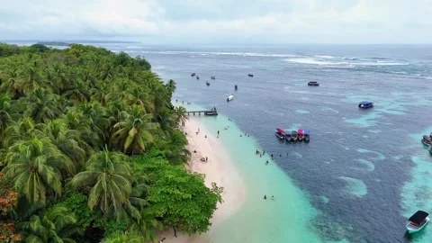 Aerial view of the beaches of Bocas del Toro in Panama, palm trees Vídeos de archivo 340041780