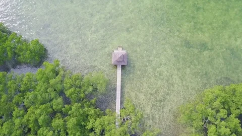Aerial view of a beachfront cottage Video stock 100589844