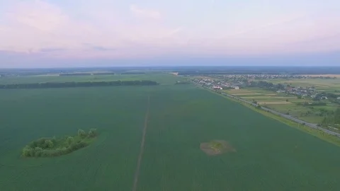Aerial view of bean field Stock Footage 77524508