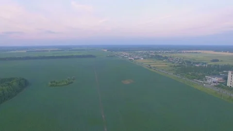 Aerial view of bean field Stock Footage 77524615