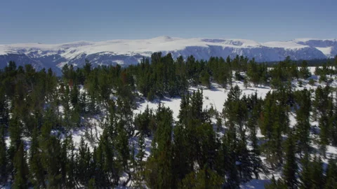 Aerial view of the Beartooth Mountain range in Montana  Vidéo 265909351